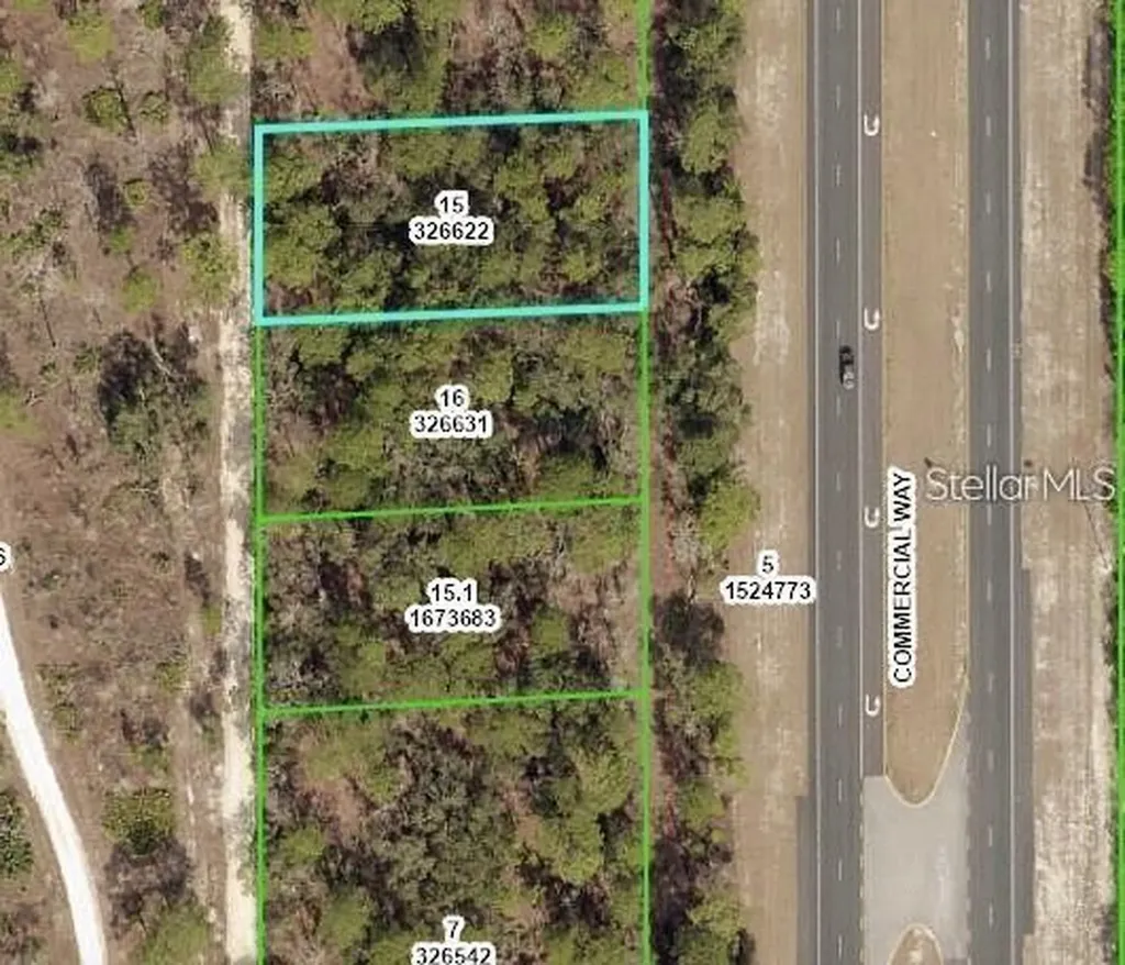 Commercial Way Weeki Wachee FL 34614