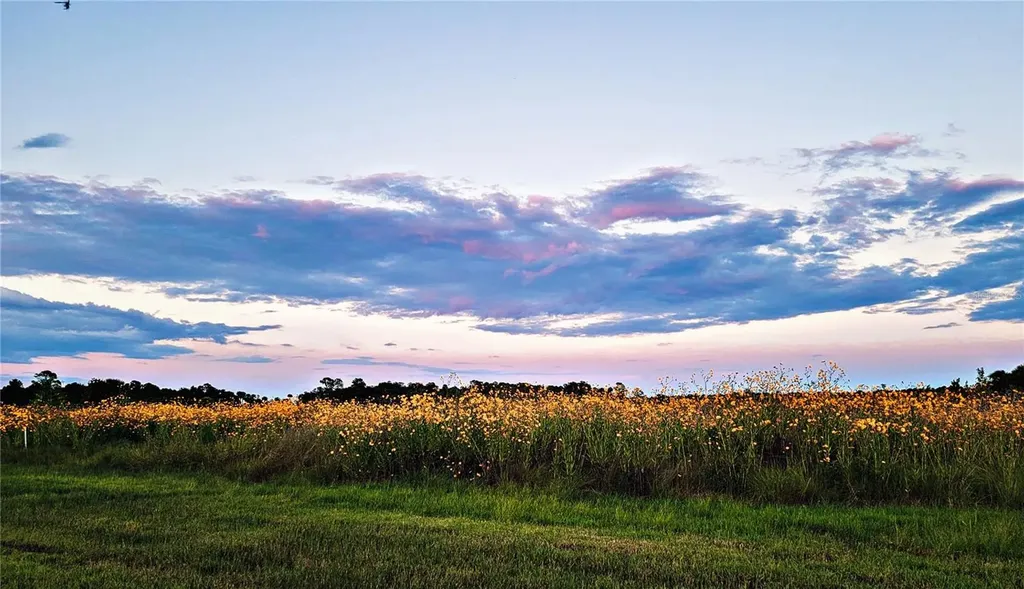 2269 Mullet Lake Park Road Geneva FL 32732