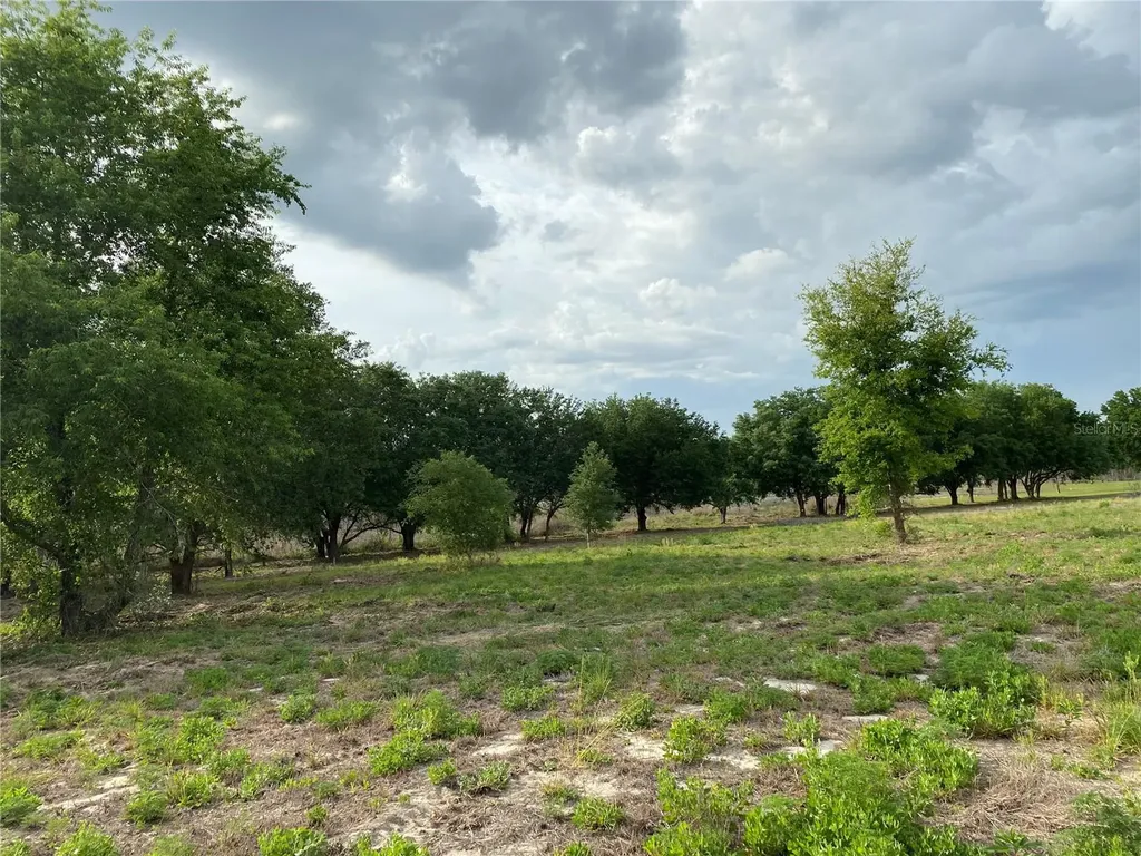 South O 'brien Road Groveland FL 34736