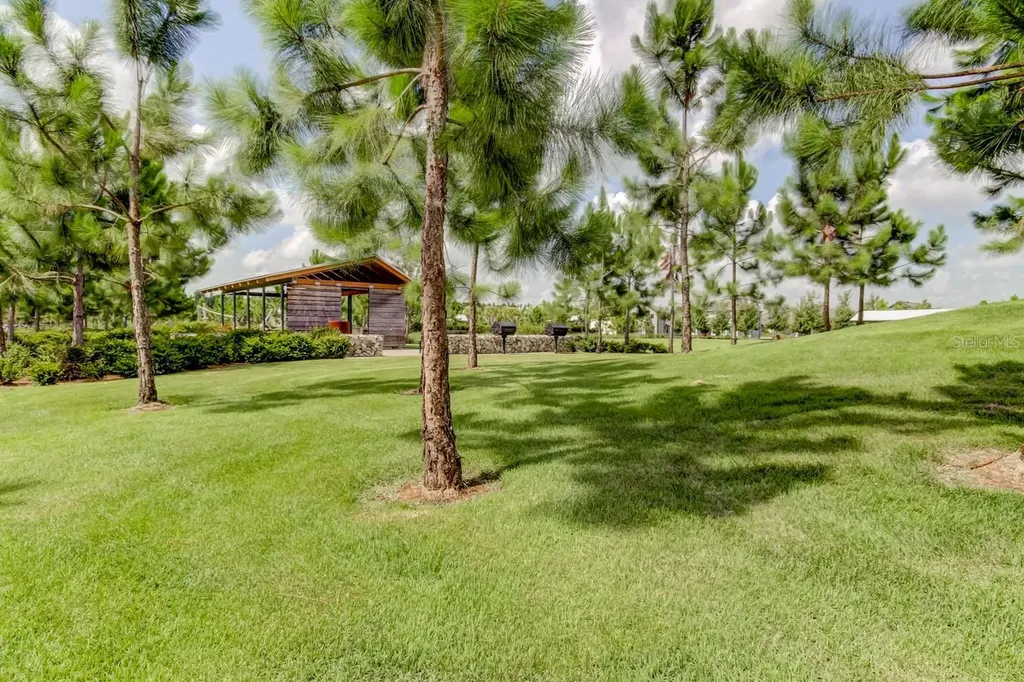 12303 Corkfield Lane Odessa FL 33556