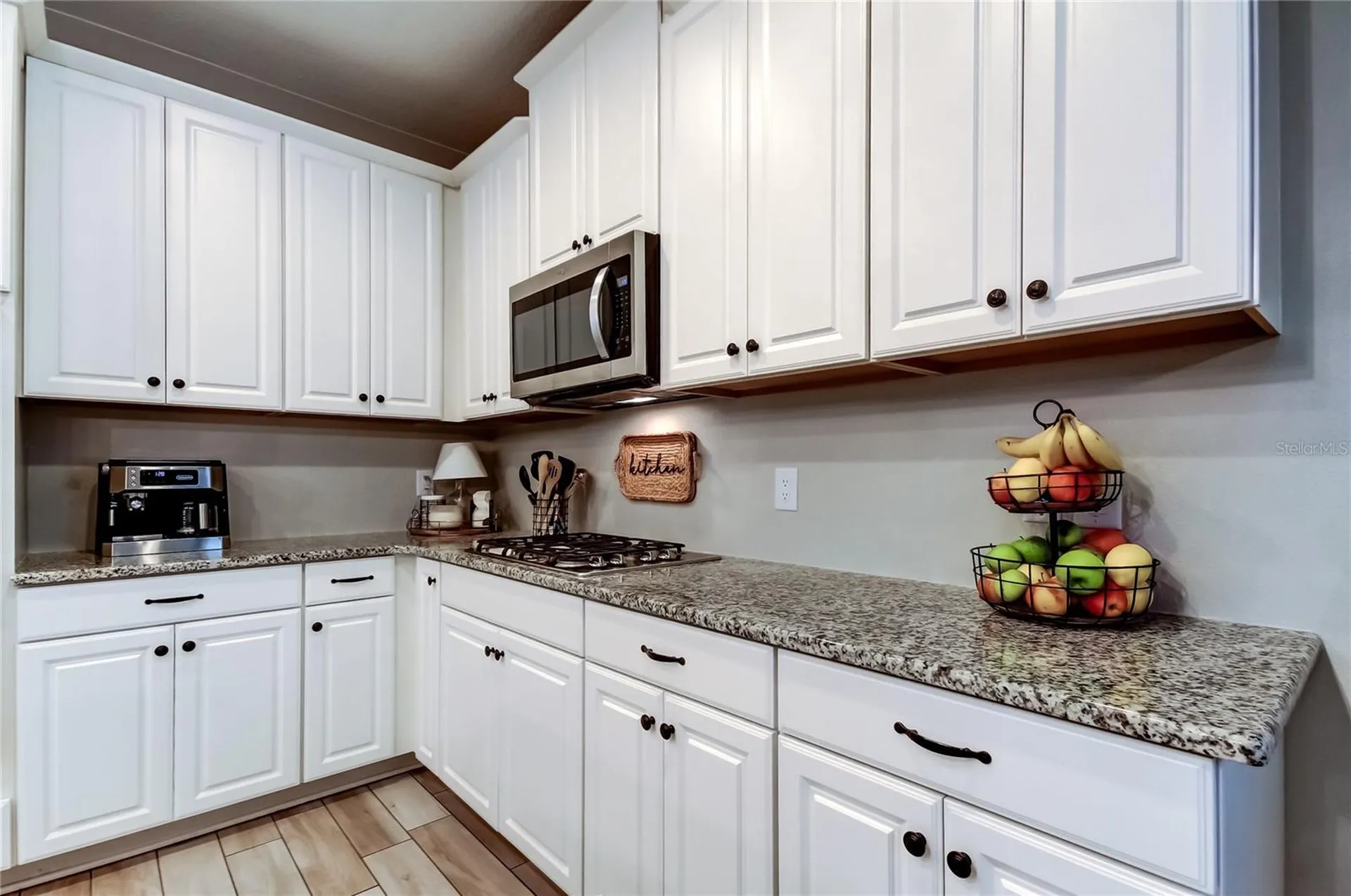 12303 Corkfield Lane Odessa FL 33556