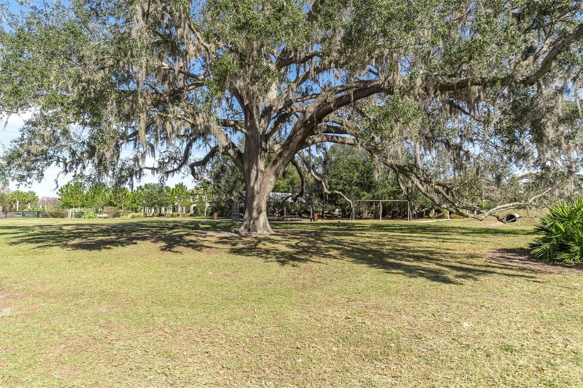 12303 Corkfield Lane Odessa FL 33556