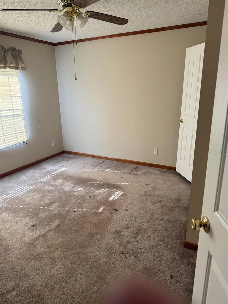 17011 Alderman Turner Road Wimauma FL 33598