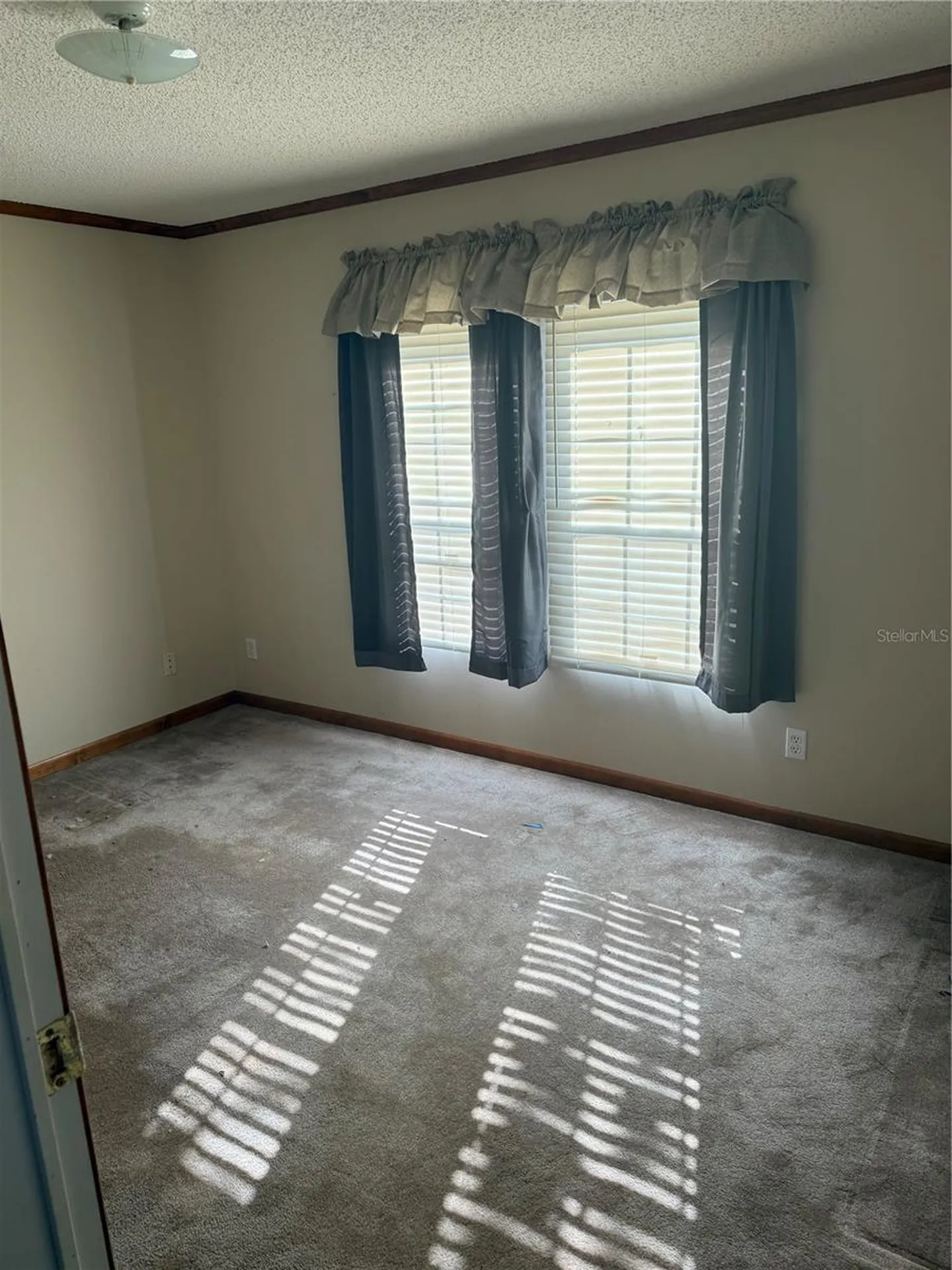 17011 Alderman Turner Road Wimauma FL 33598
