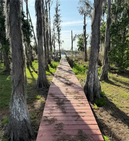 17011 Alderman Turner Road Wimauma FL 33598