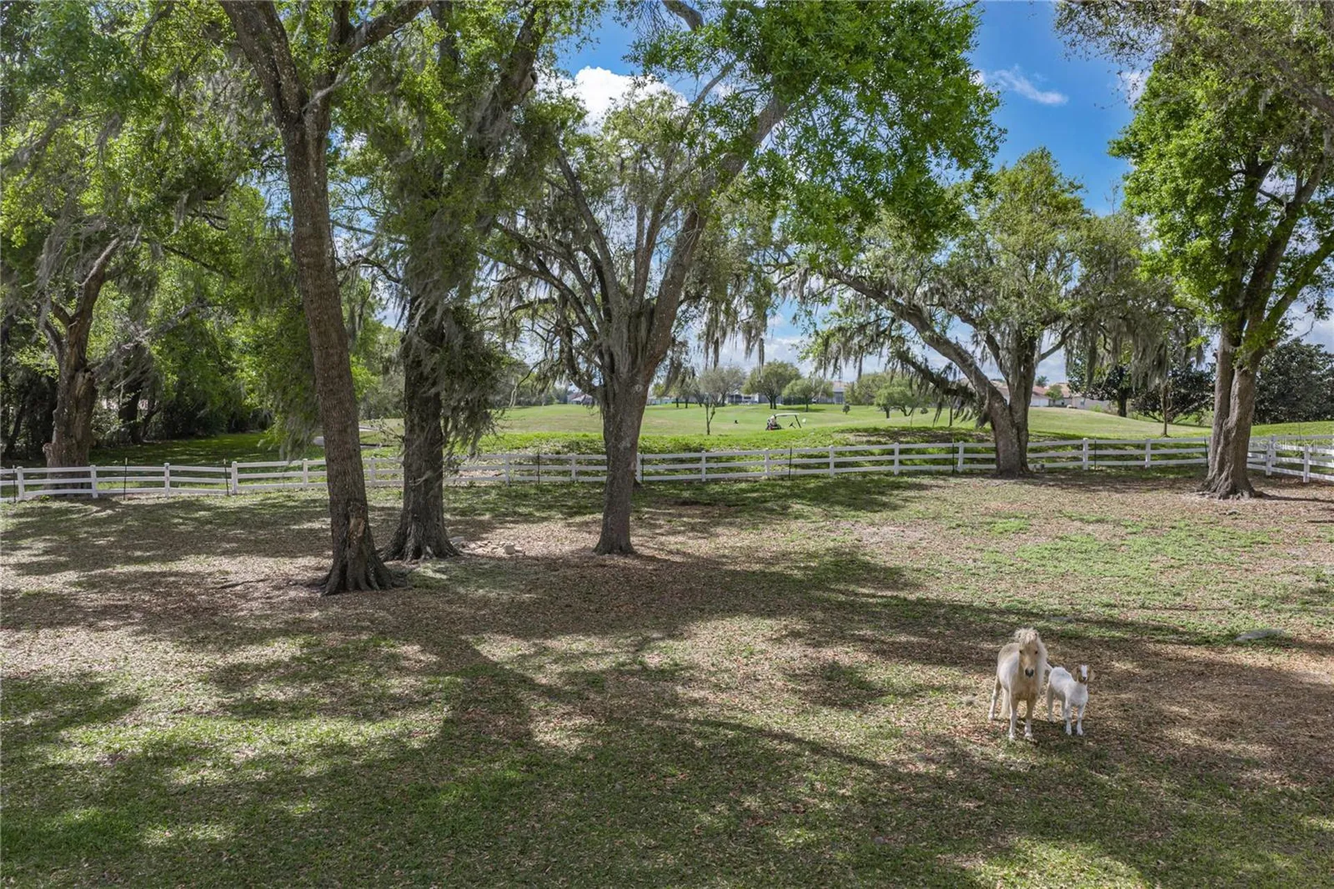 34428 Mission Valley Drive Dade City FL 33525