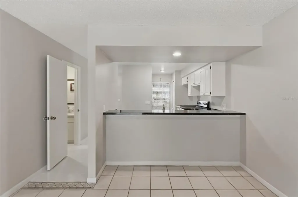 16143 Rambling Vine Drive E Tampa FL 33624