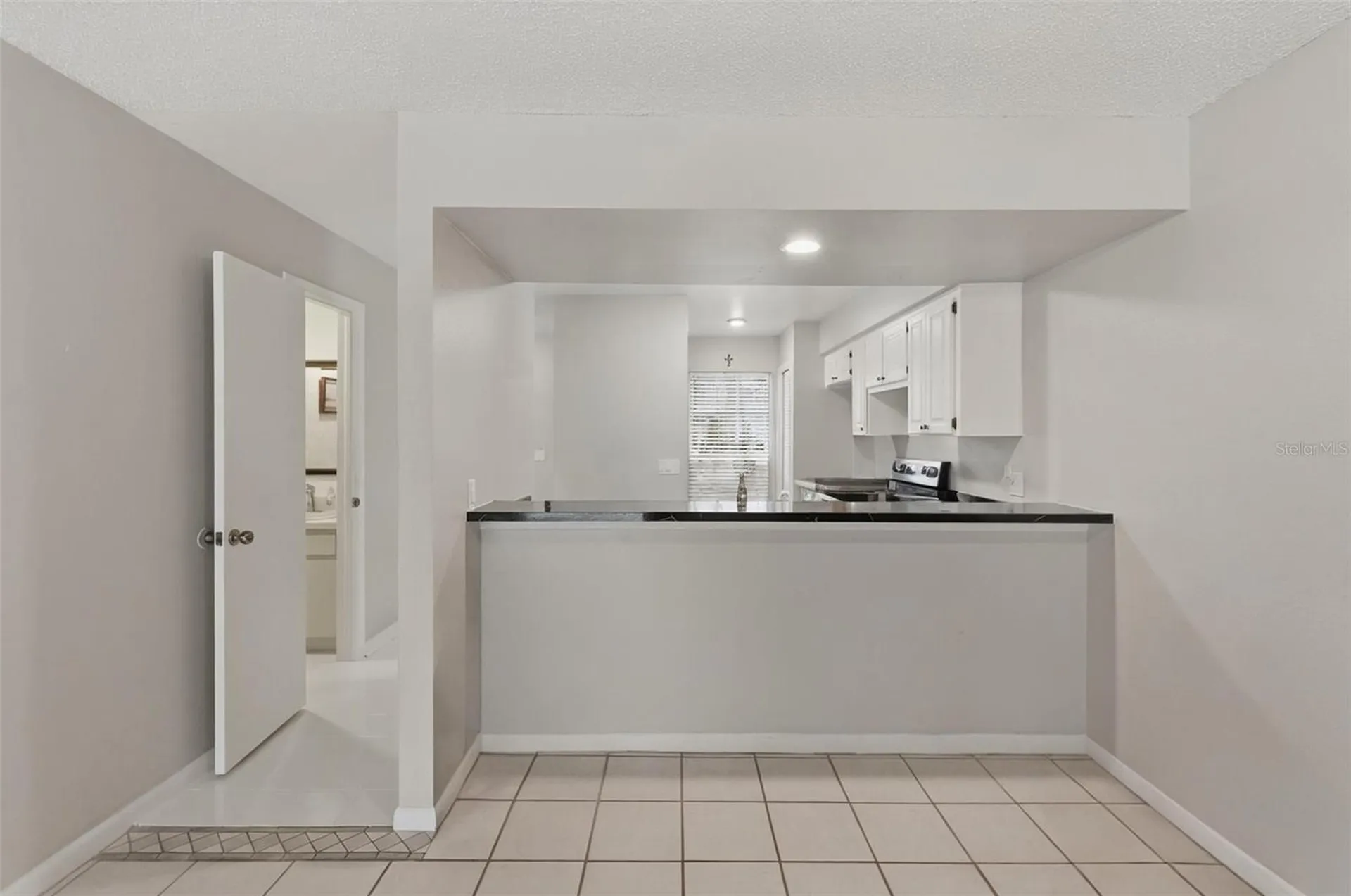 16143 Rambling Vine Drive E Tampa FL 33624