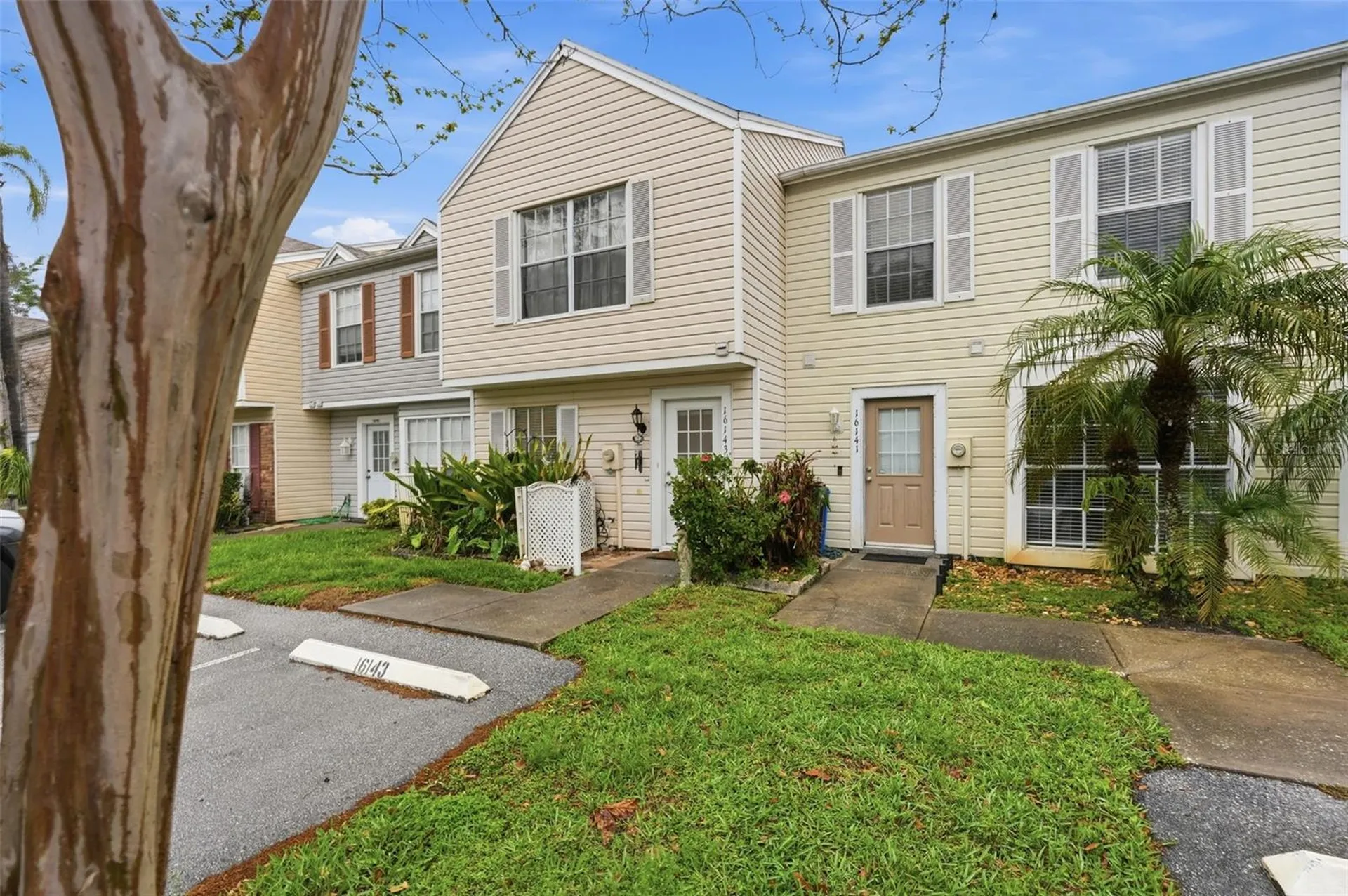 16143 Rambling Vine Drive E Tampa FL 33624