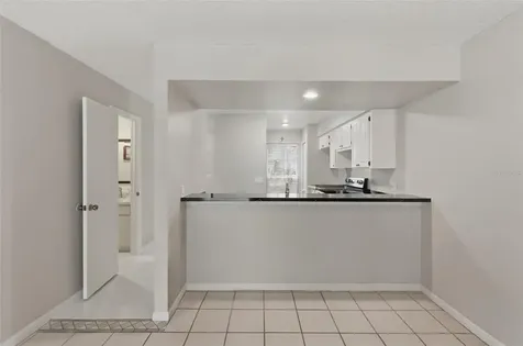 16143 Rambling Vine Drive E Tampa FL 33624