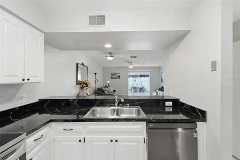 16143 Rambling Vine Drive E Tampa FL 33624