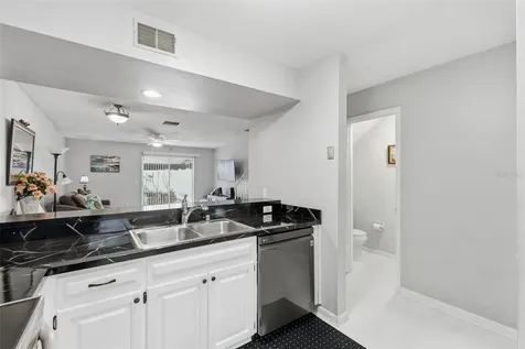 16143 Rambling Vine Drive E Tampa FL 33624