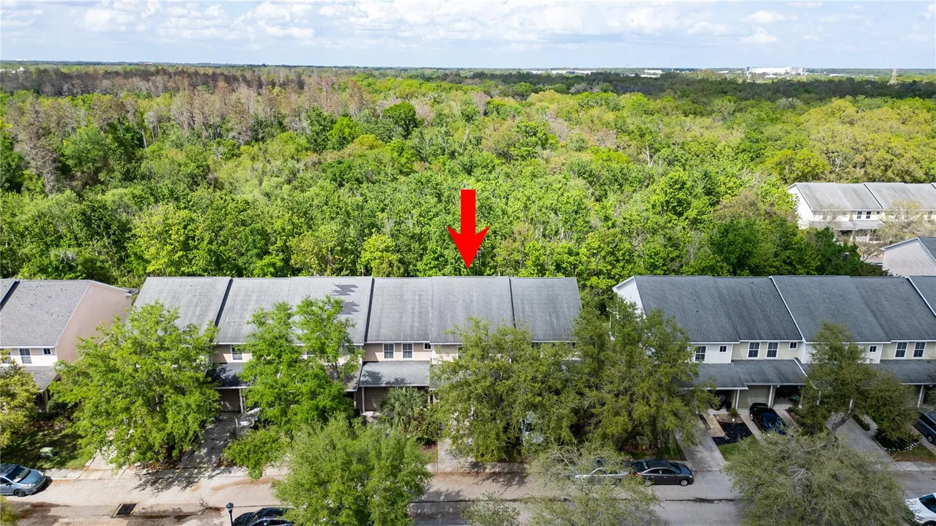 7910 Bally Money Road Tampa FL 33610