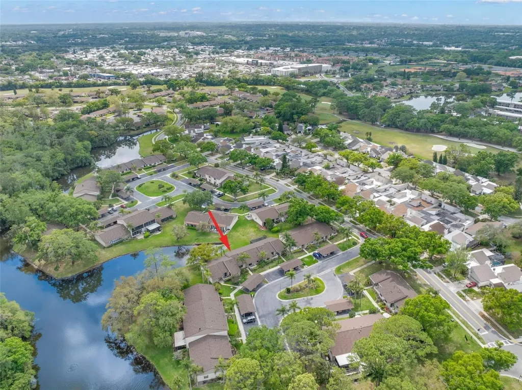 40 Sylvia Place Oldsmar FL 34677