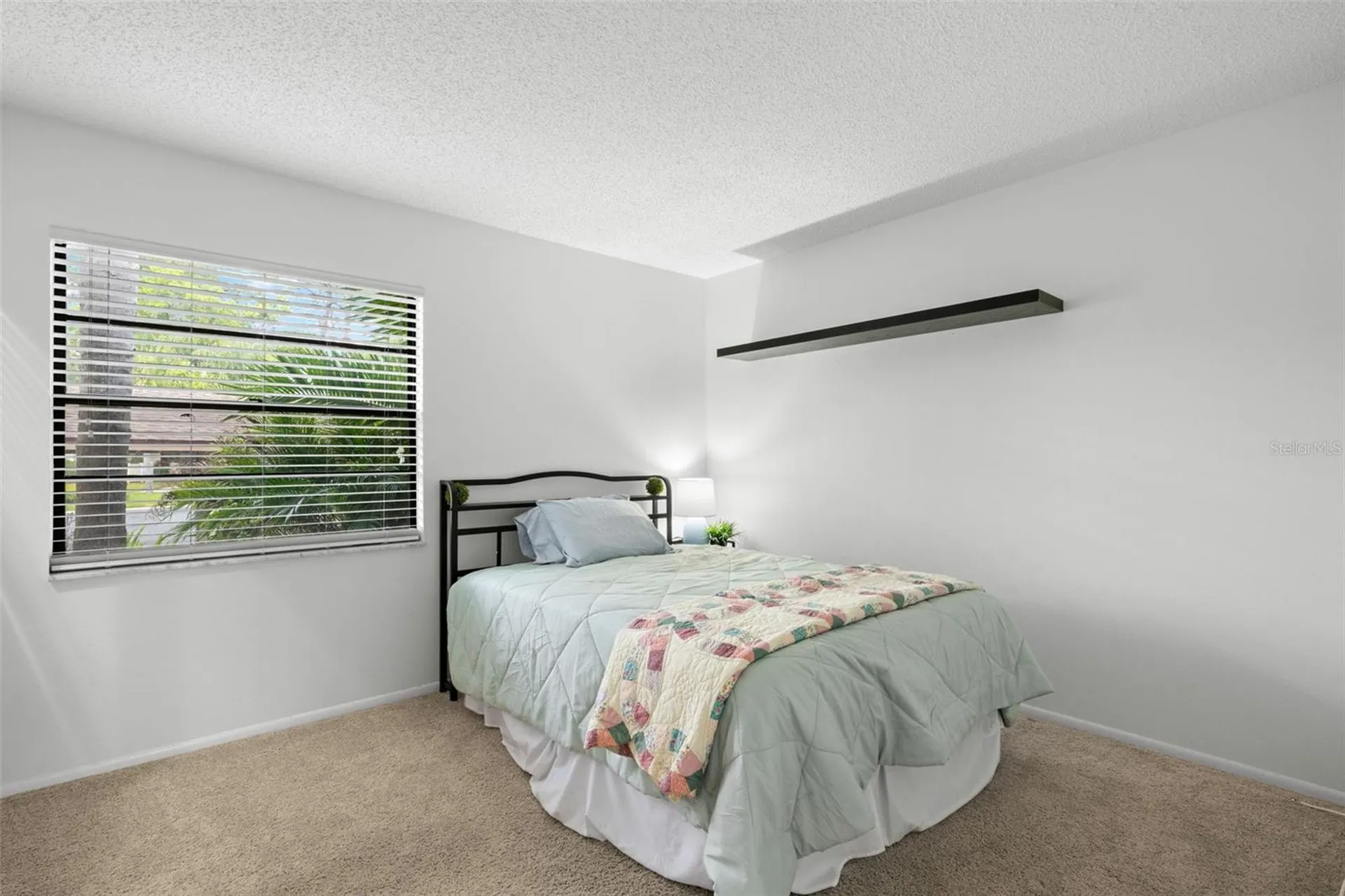 40 Sylvia Place Oldsmar FL 34677
