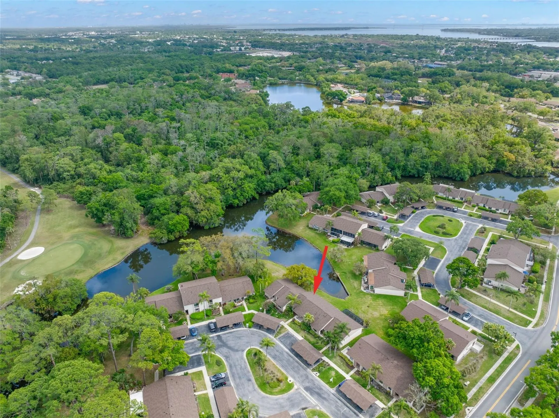40 Sylvia Place Oldsmar FL 34677