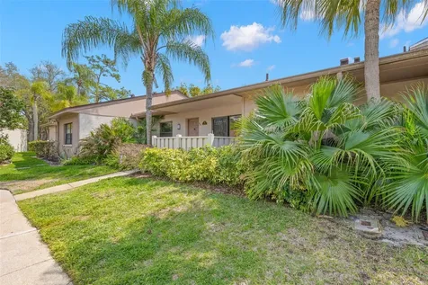 40 Sylvia Place Oldsmar FL 34677
