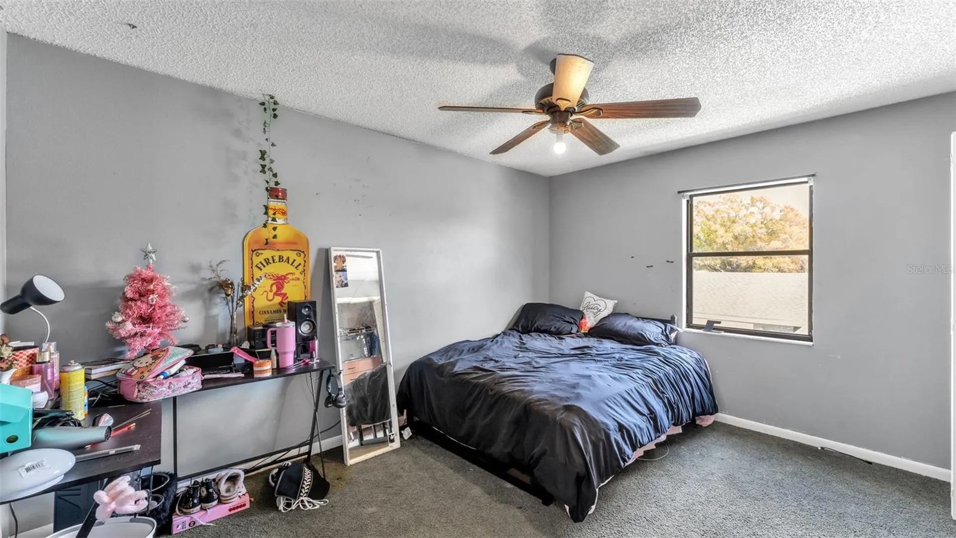 2221 Eastmeadows Road Lakeland FL 33812