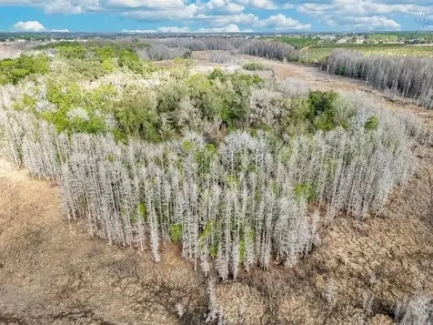 11535 Mattioda Road Groveland FL 34736
