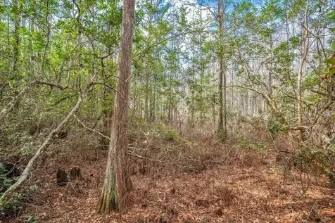 11535 Mattioda Road Groveland FL 34736