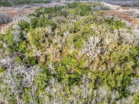 11535 Mattioda Road Groveland FL 34736