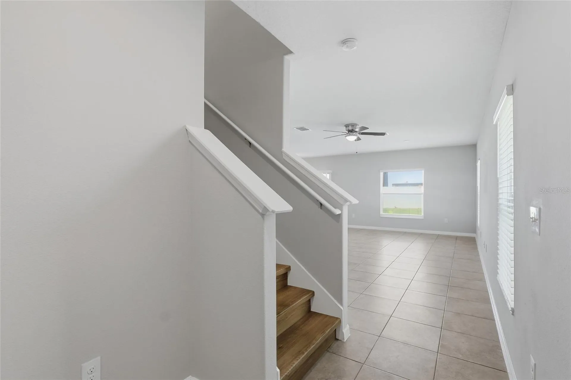 7412 French Marigold Avenue Tampa FL 33619