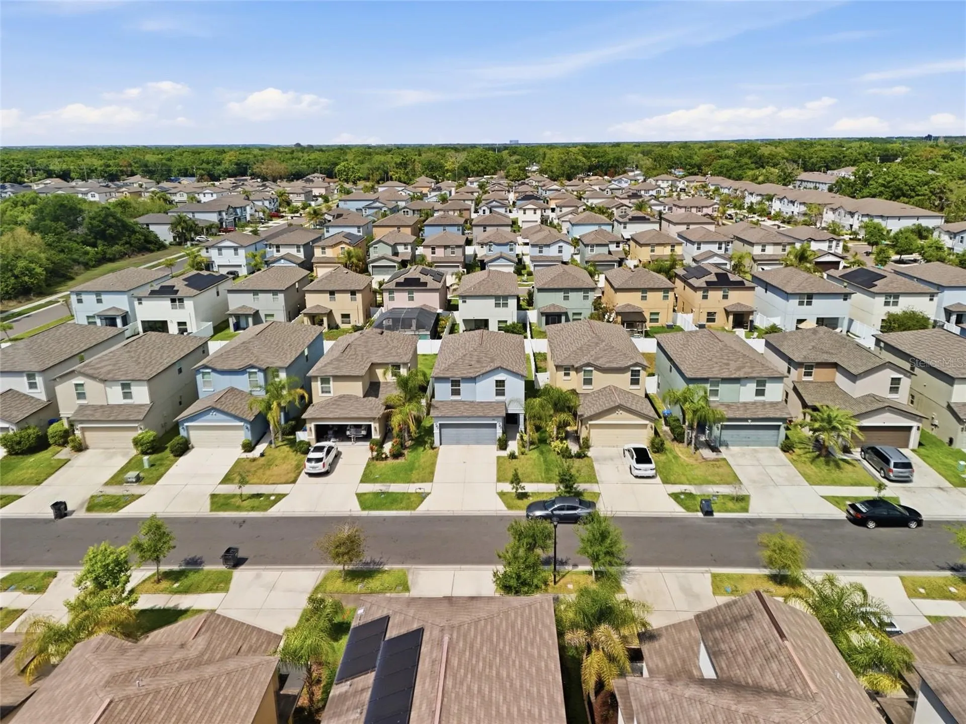 7412 French Marigold Avenue Tampa FL 33619