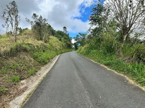 Carr. 723, 2.3 Int. Aibonito PR 00705