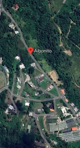 Carr. 723, 2.3 Int. Aibonito PR 00705