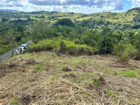 Carr. 723, 2.3 Int. Aibonito PR 00705