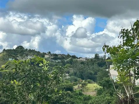 Carr. 723, 2.3 Int. Aibonito PR 00705
