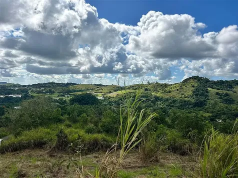 Carr. 723, 2.3 Int. Aibonito PR 00705