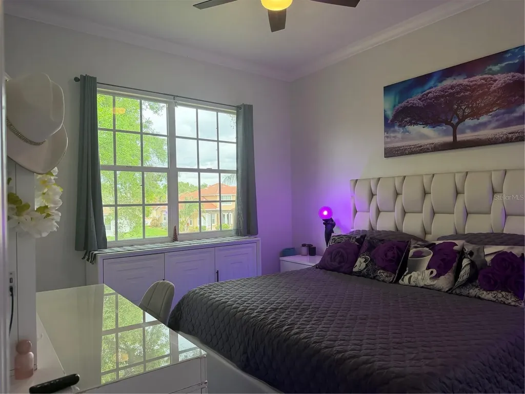 6816 Dali Avenue Land O Lakes FL 34637