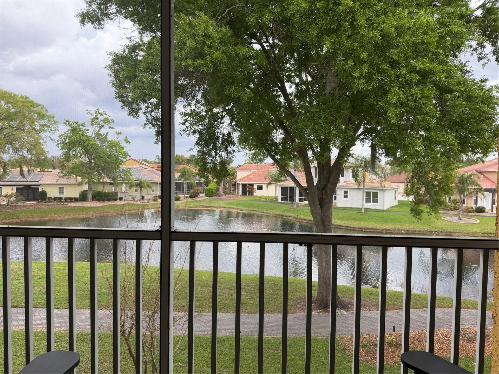 6816 Dali Avenue Land O Lakes FL 34637