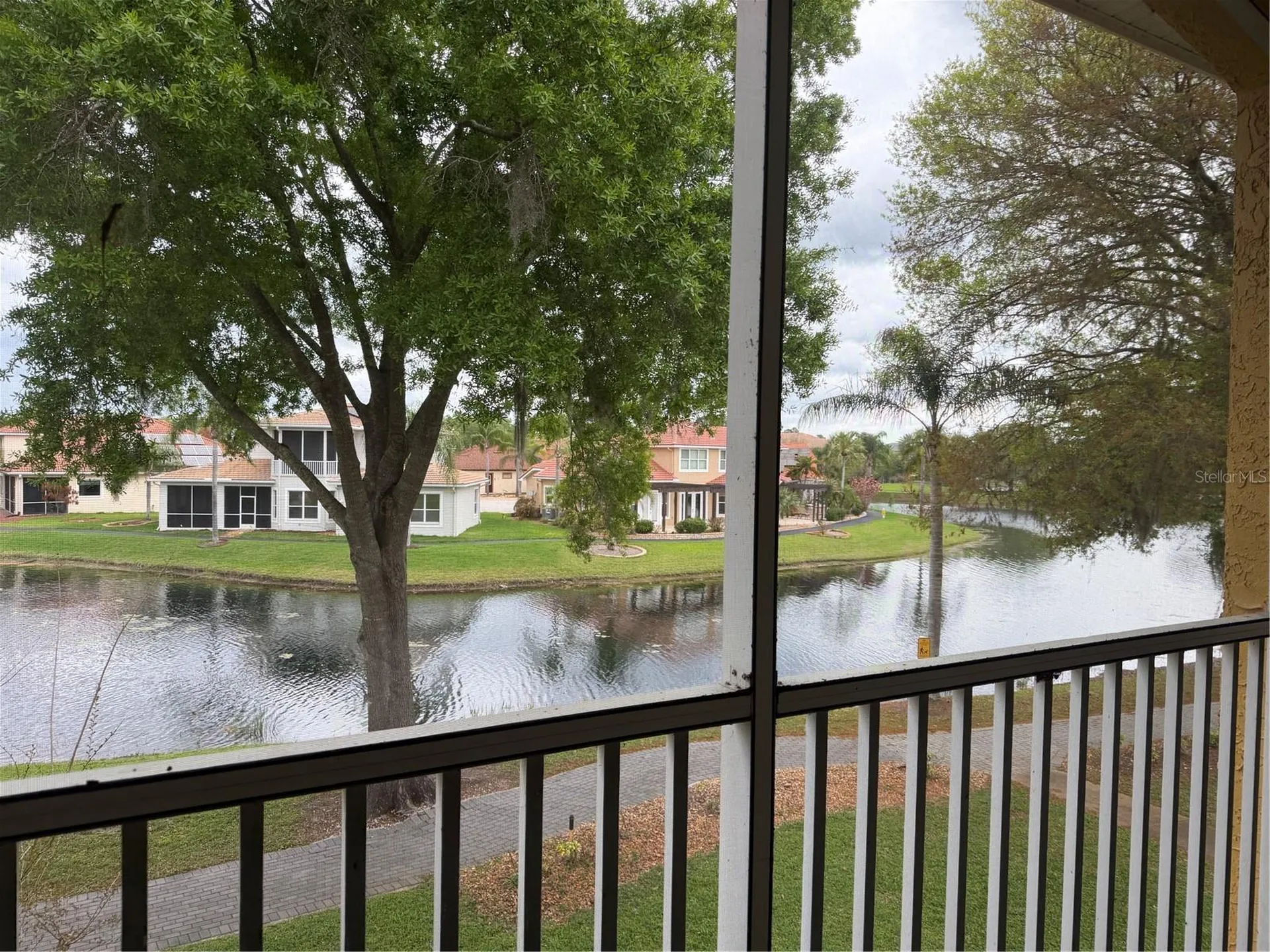 6816 Dali Avenue Land O Lakes FL 34637