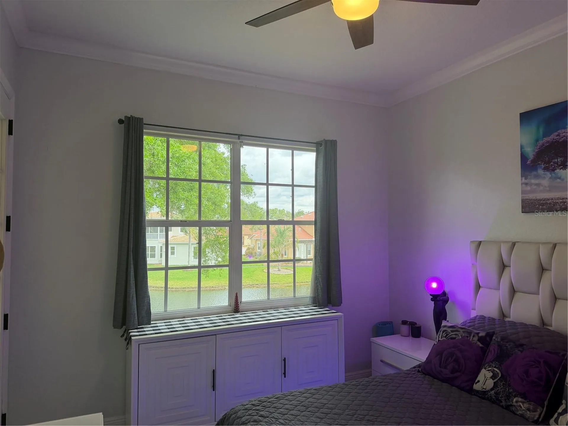 6816 Dali Avenue Land O Lakes FL 34637