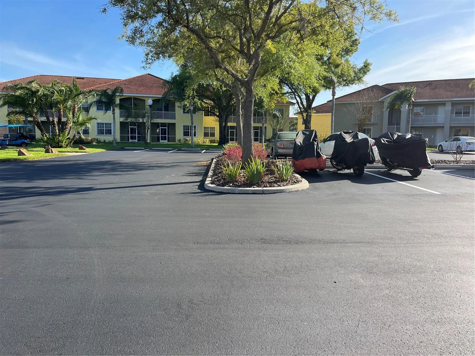 6816 Dali Avenue Land O Lakes FL 34637