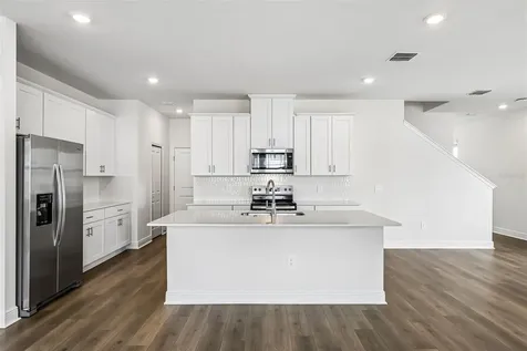 2166 Wildberry Way Minneola FL 34715