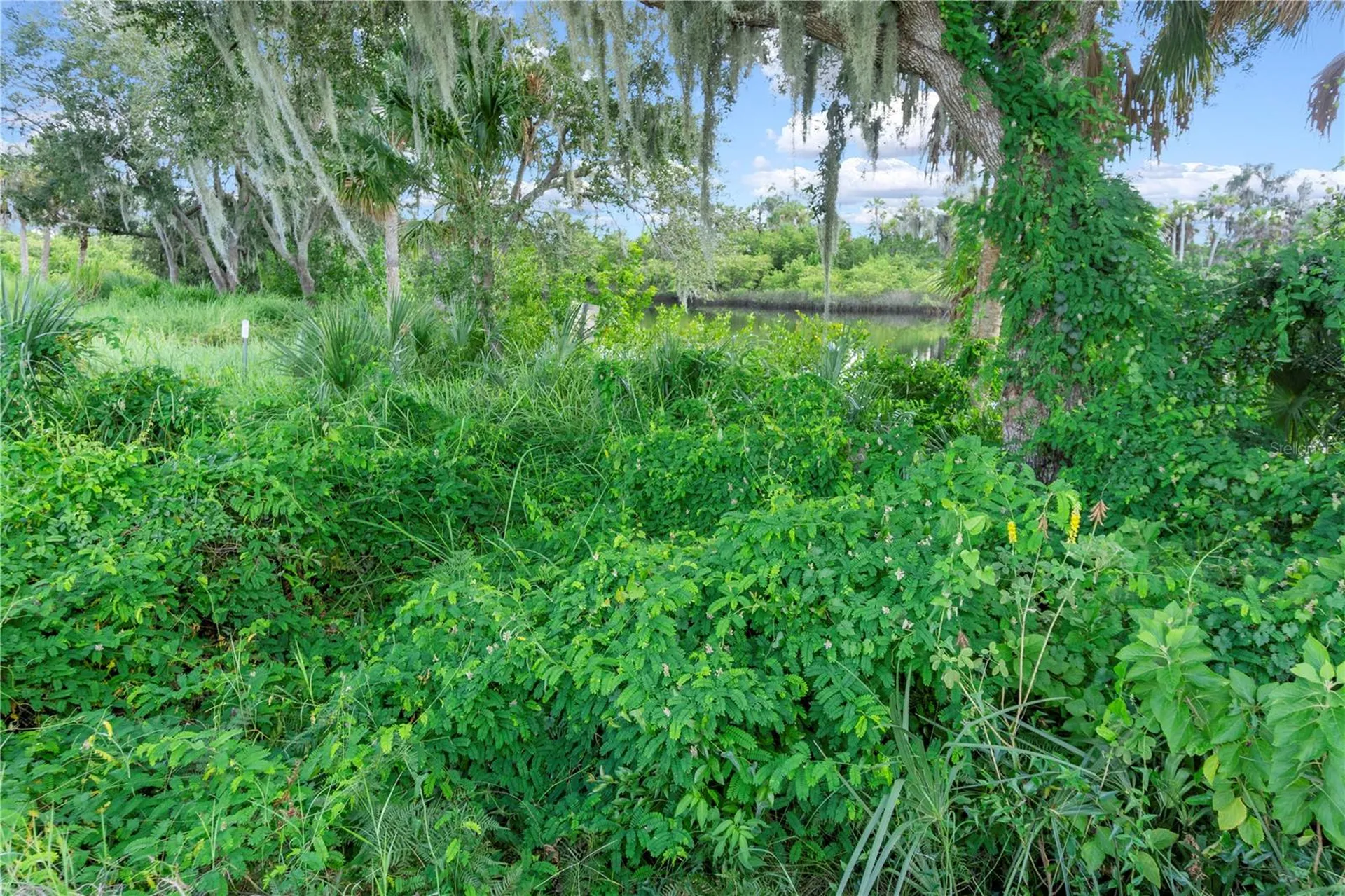11609 Bayou Cove Parrish FL 34219