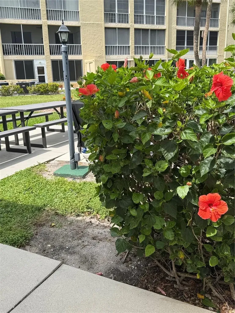 3176 Lake Bayshore Drive Bradenton FL 34205