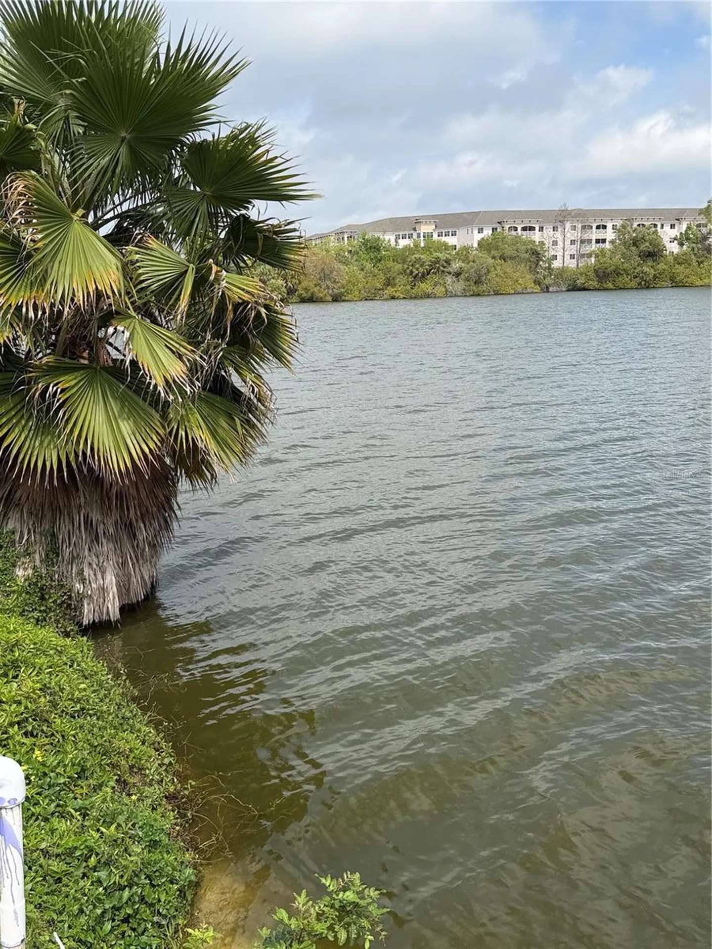 3176 Lake Bayshore Drive Bradenton FL 34205