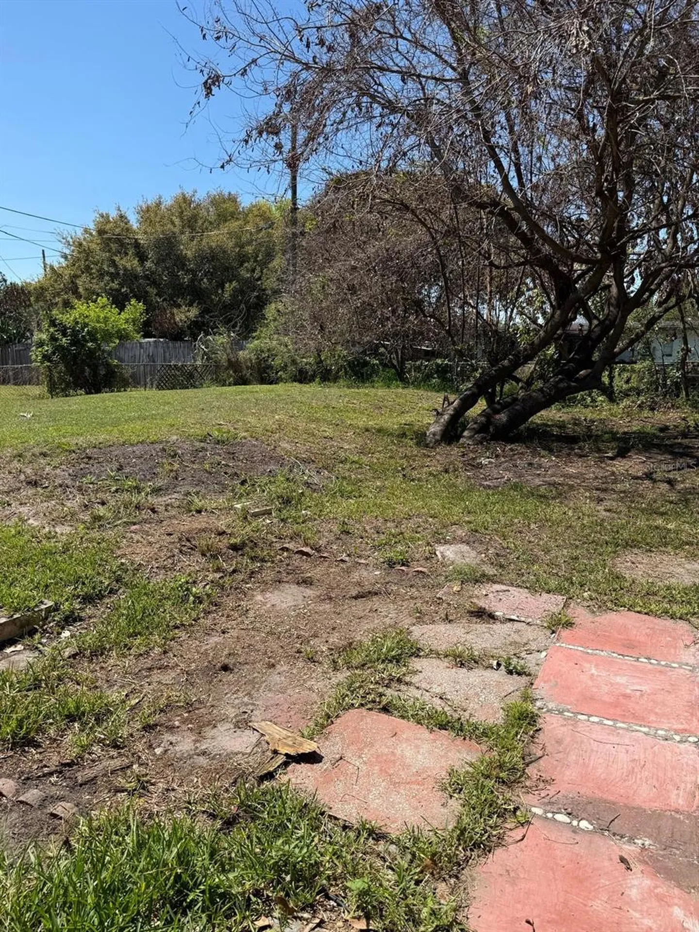 7644 Arlene Avenue Orlando FL 32812