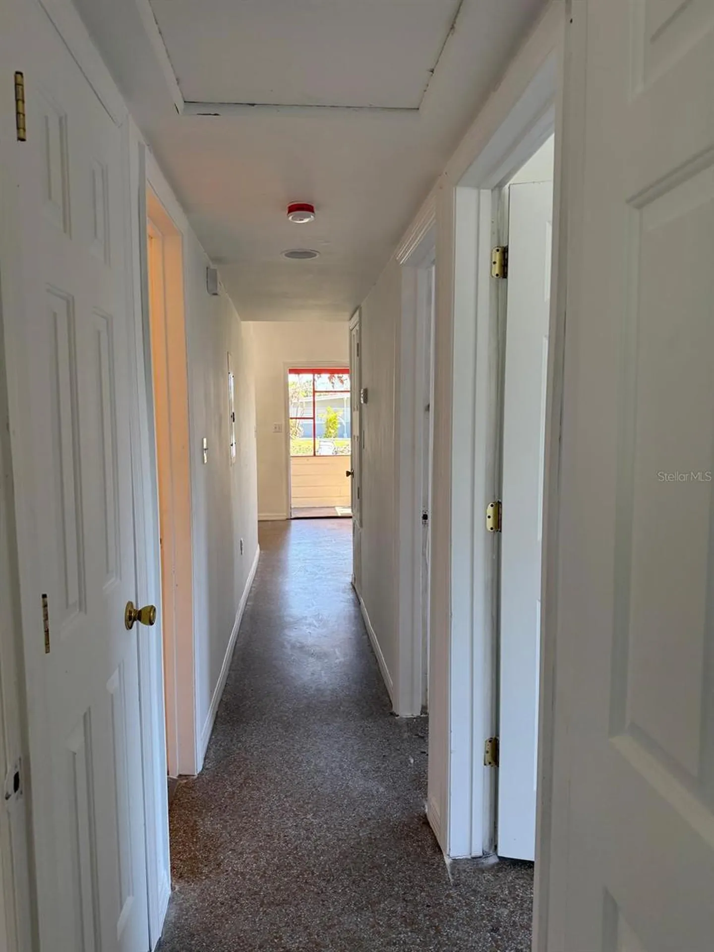 7644 Arlene Avenue Orlando FL 32812