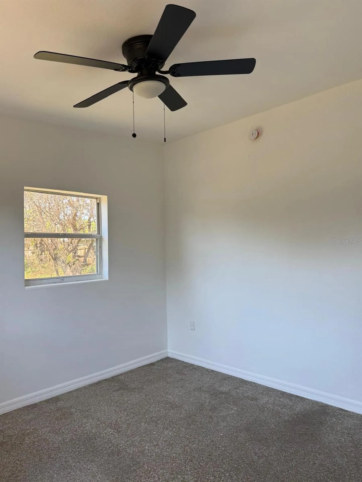 7644 Arlene Avenue Orlando FL 32812
