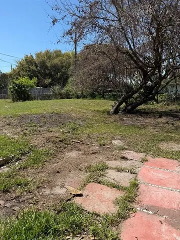 7644 Arlene Avenue Orlando FL 32812