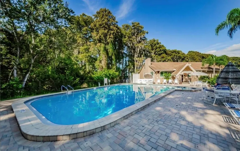 984 Gillespie Drive Palm Harbor FL 34684