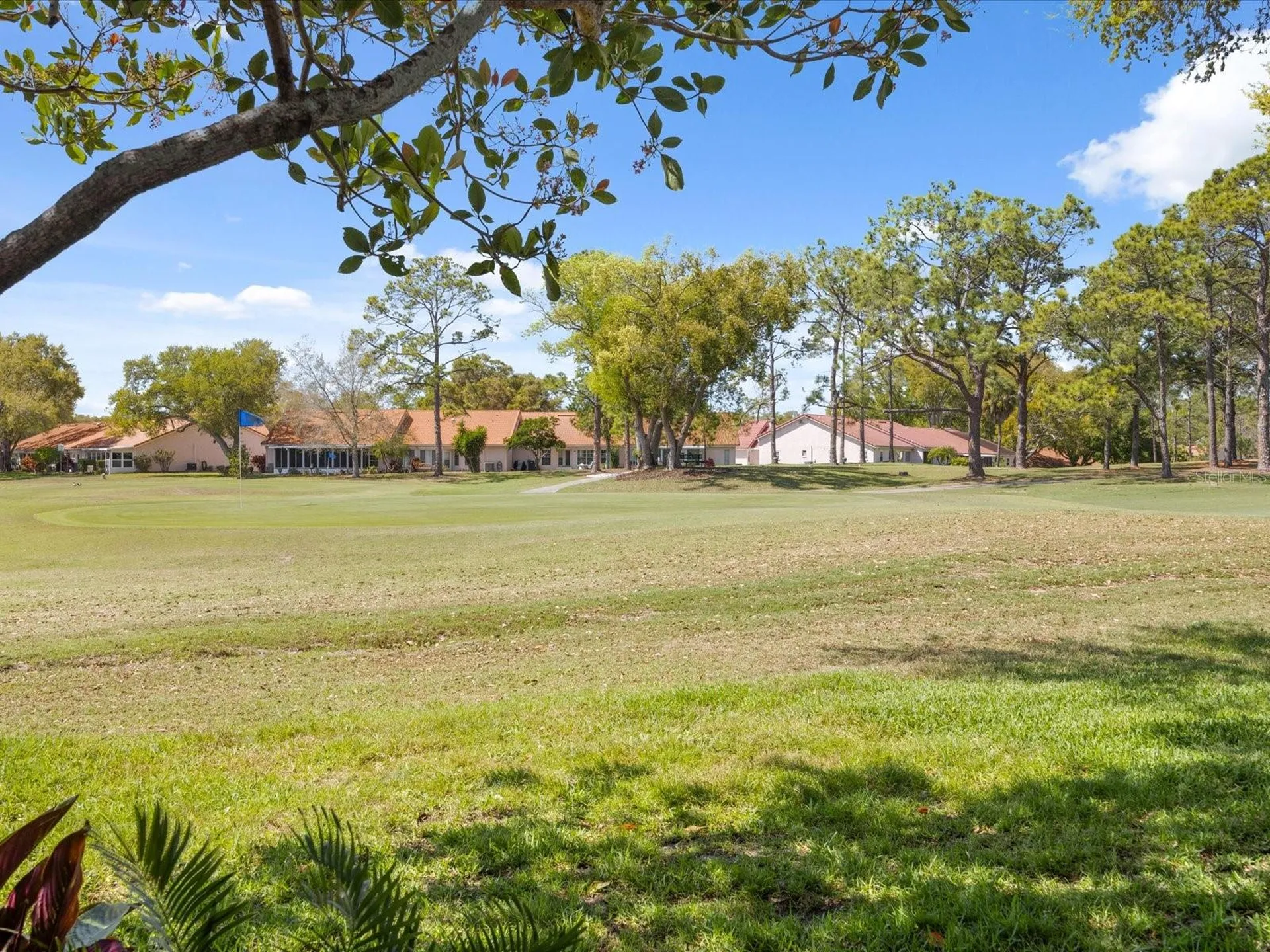 984 Gillespie Drive Palm Harbor FL 34684