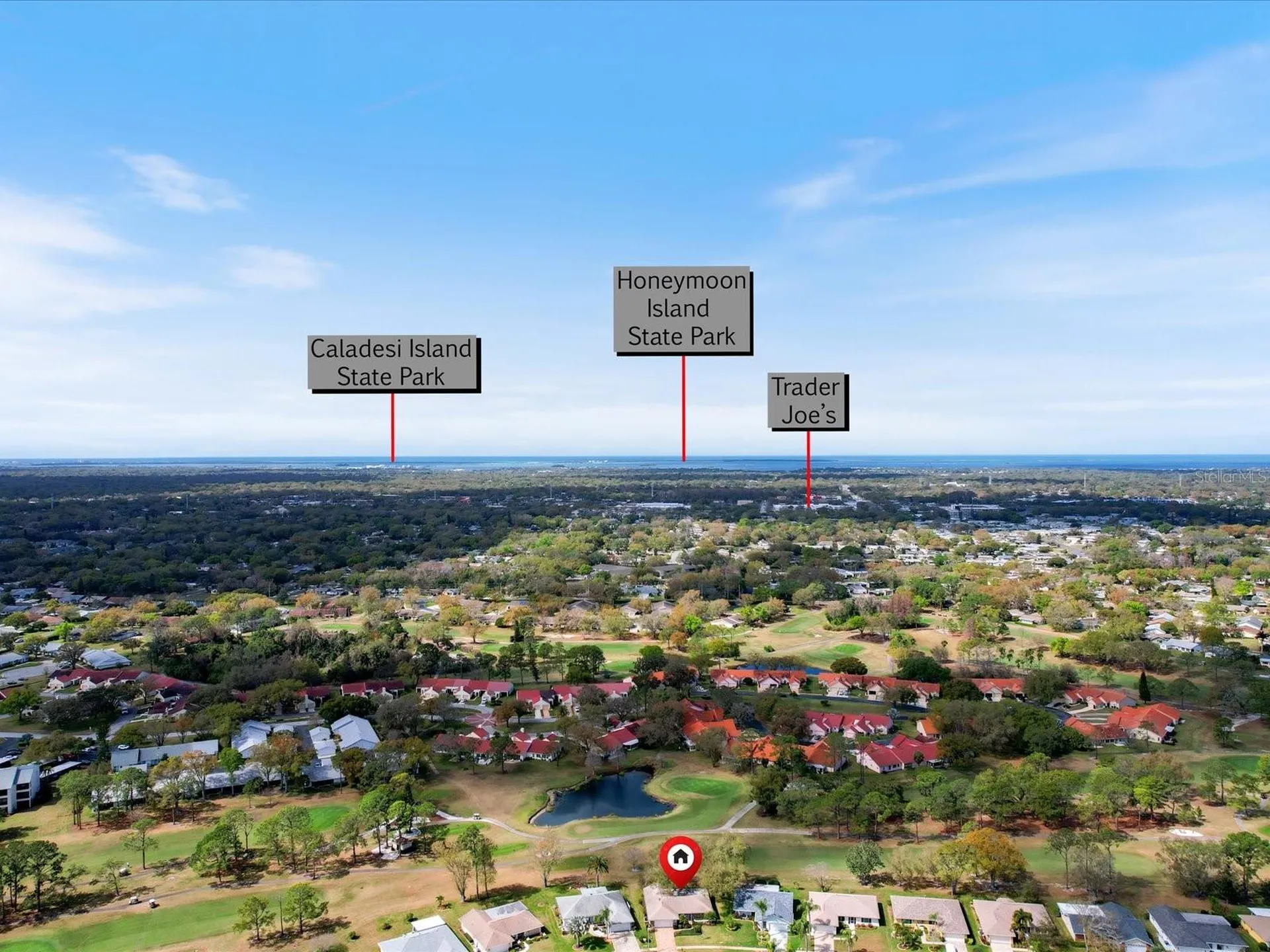 984 Gillespie Drive Palm Harbor FL 34684