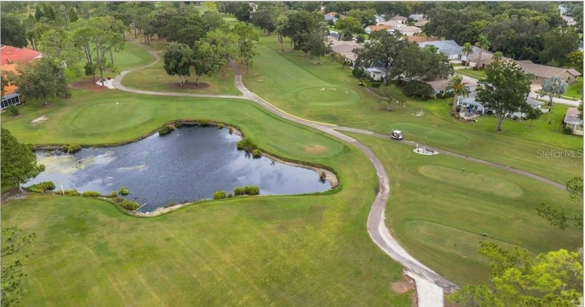 984 Gillespie Drive Palm Harbor FL 34684