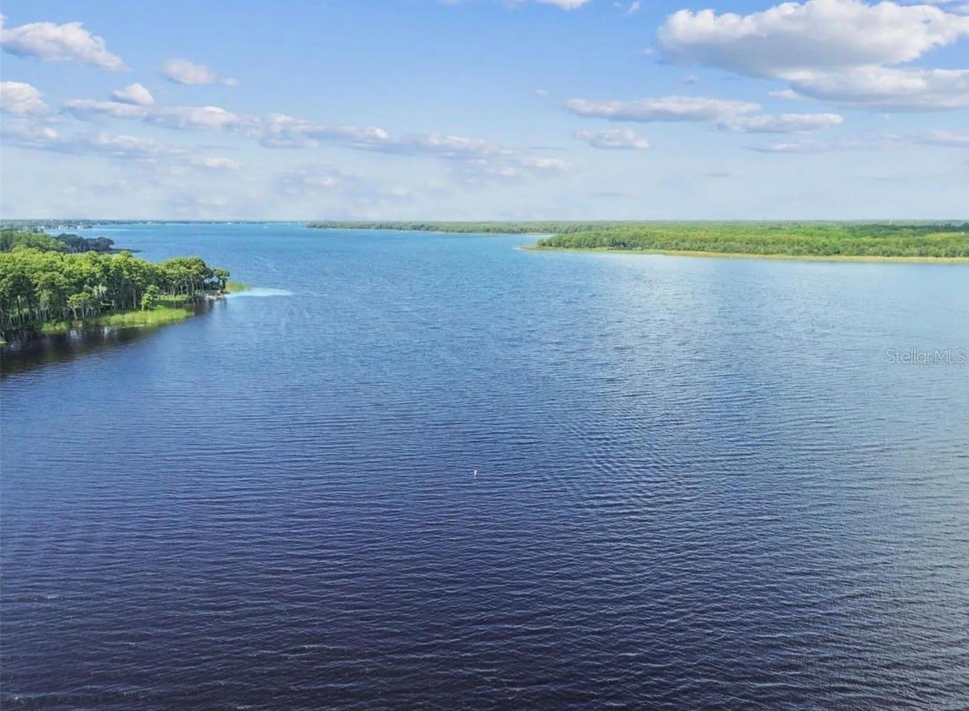 984 Gillespie Drive Palm Harbor FL 34684
